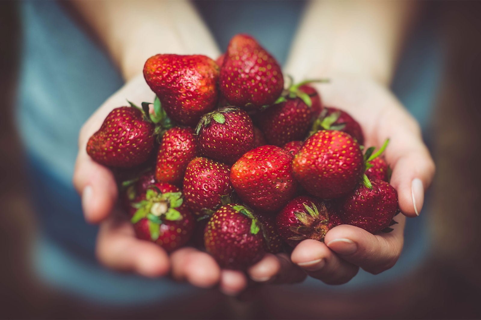 How to Go Strawberry Picking in South Korea