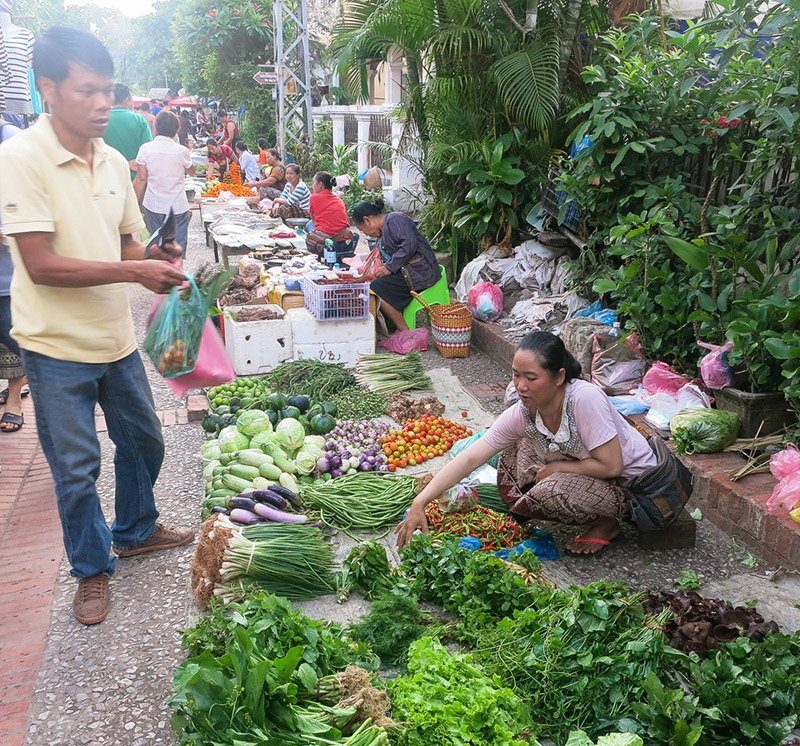 Hmong lady with her vegetables Hmong lady with her vegetables