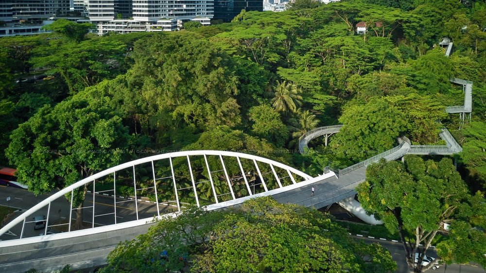 Things to do in Singapore: Walk the Southern Ridges trail. Photo © James Tan