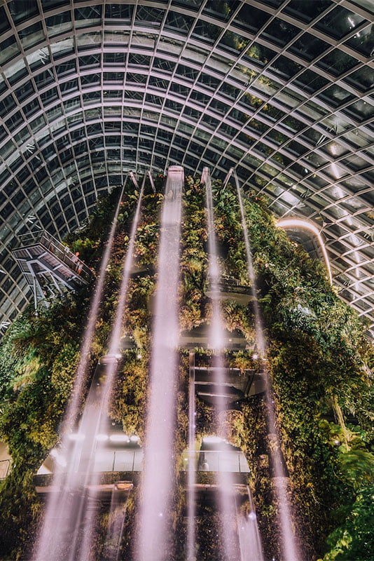 Cloud Forest at Gardens By The Bay, Singapore. Lucas Law / Unsplash