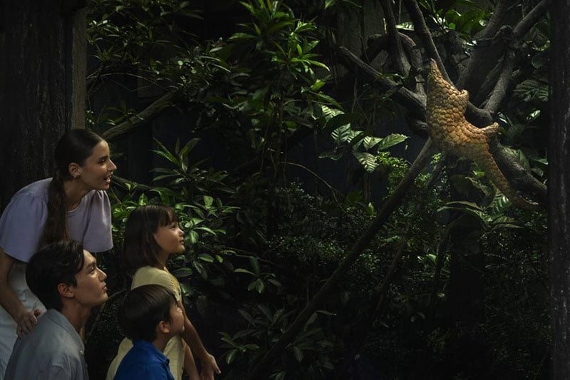 Visiting the Night Safari to spot nocturnal wildlife: one of the most popular things to do in Singapore at night