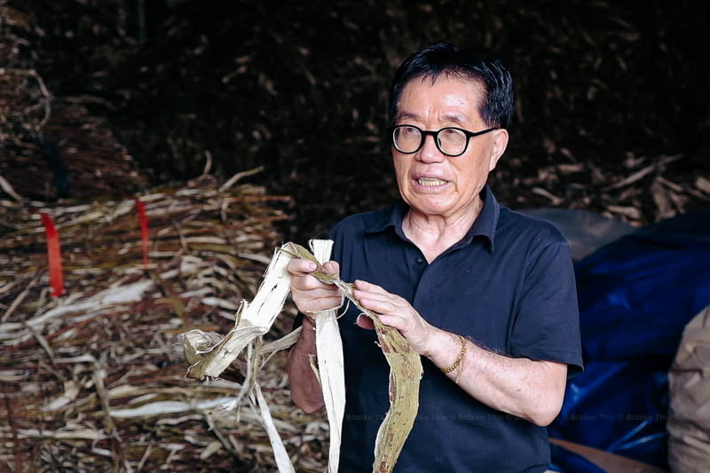 A guide explains how the bark of the paper mulberry plant is processed.